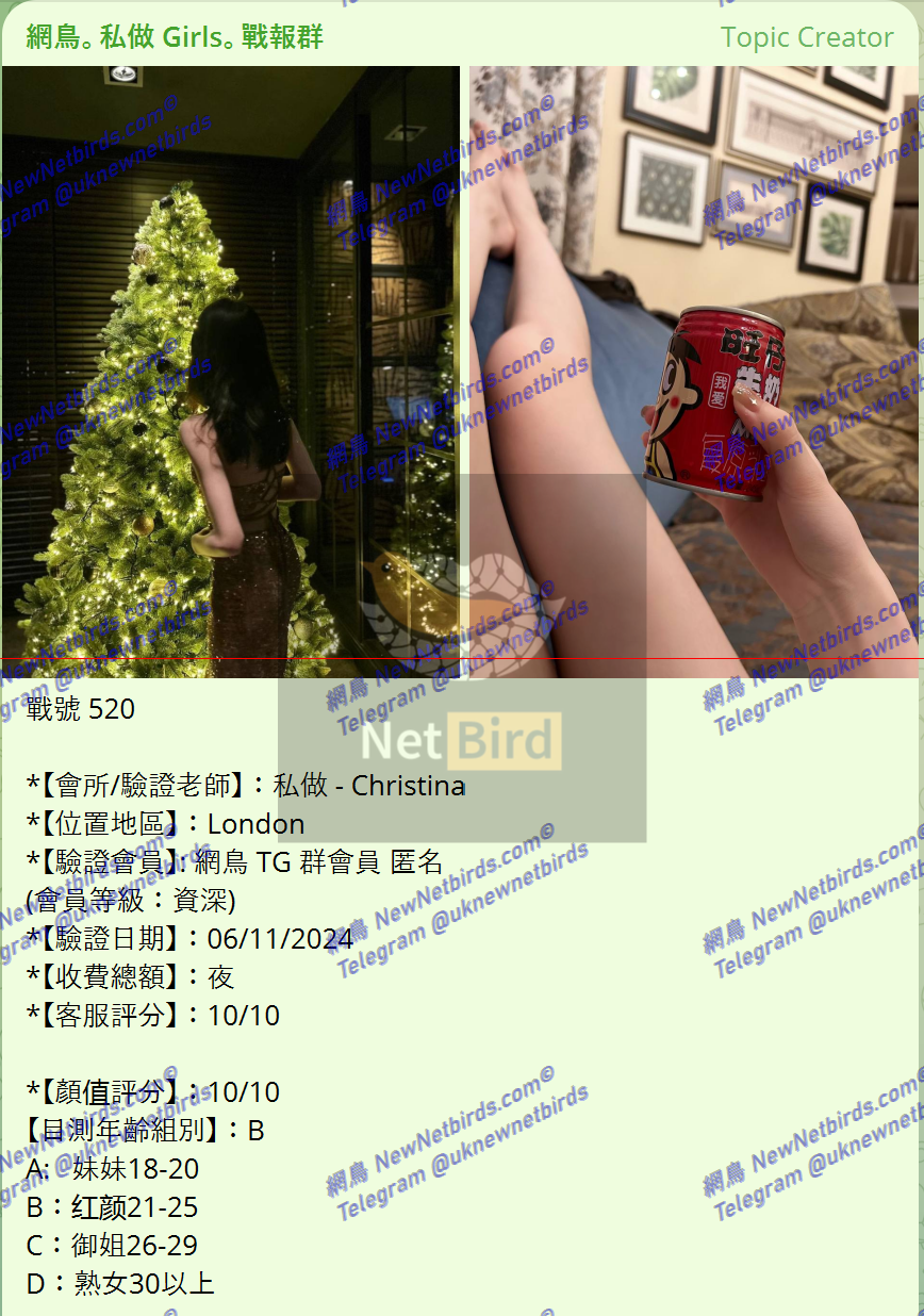 戰號 520 1.png